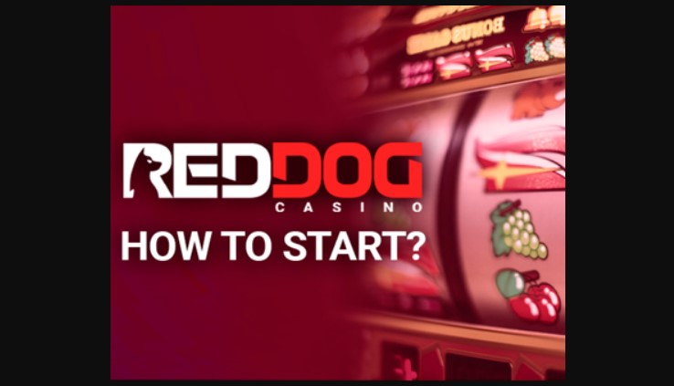 Red Dog Casino FAQ 2
