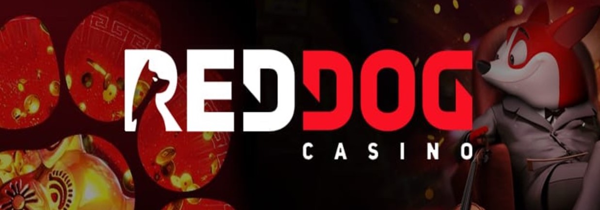Red Dog Casino Poker 1