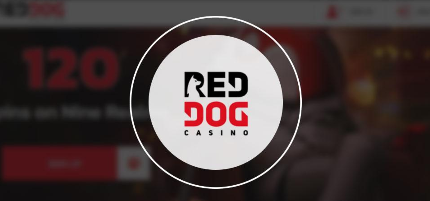 Casino Banking in Red Dog Casino