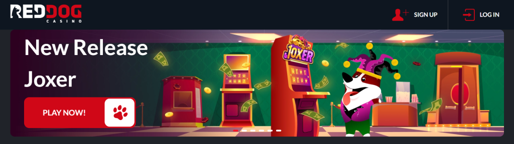 Red Dog Casino: Claim 80 Free Spins