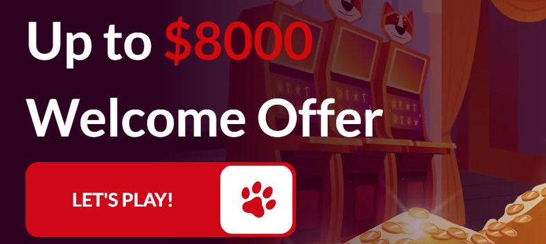 Red Dog Casino Free Play Overview 